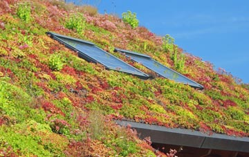 Alfold Crossways living roof systems