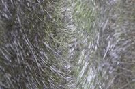 Alfold Crossways fibreglass roof work